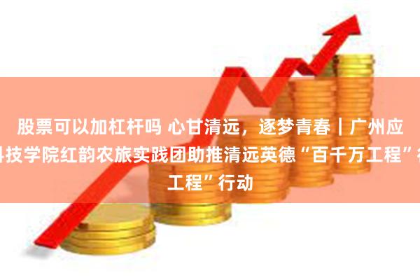 股票可以加杠杆吗 心甘清远，逐梦青春｜广州应用科技学院红韵农旅实践团助推清远英德“百千万工程”行动