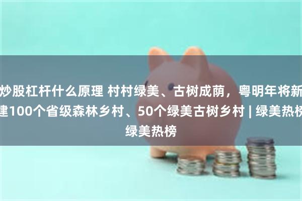 炒股杠杆什么原理 村村绿美、古树成荫，粤明年将新建100个省级森林乡村、50个绿美古树乡村 | 绿美热榜