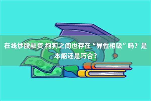 在线炒股融资 狗狗之间也存在“异性相吸”吗？是本能还是巧合？