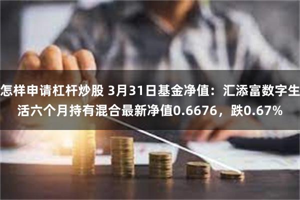 怎样申请杠杆炒股 3月31日基金净值：汇添富数字生活六个月持有混合最新净值0.6676，跌0.67%