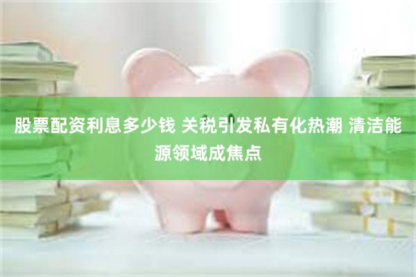 股票配资利息多少钱 关税引发私有化热潮 清洁能源领域成焦点