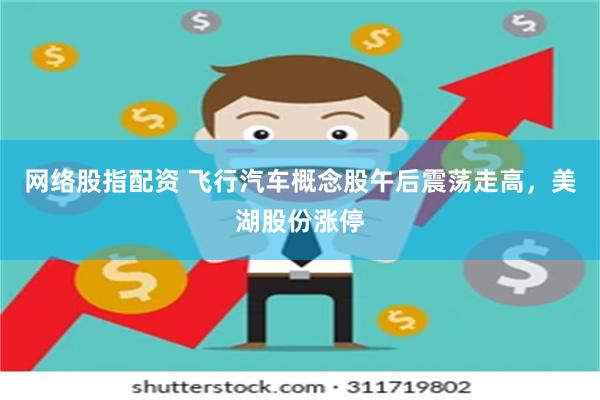 网络股指配资 飞行汽车概念股午后震荡走高，美湖股份涨停