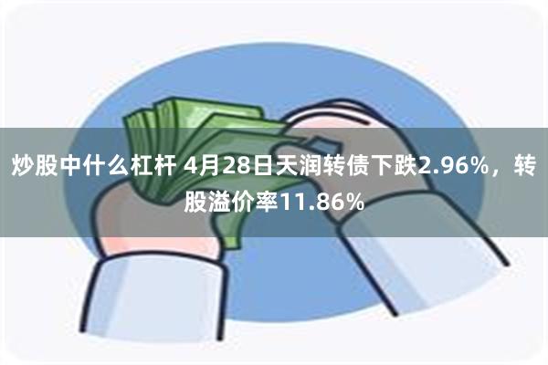 炒股中什么杠杆 4月28日天润转债下跌2.96%，转股溢价率11.86%