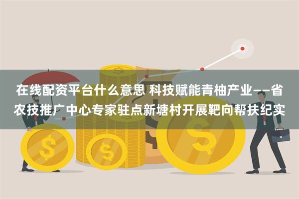 在线配资平台什么意思 科技赋能青柚产业——省农技推广中心专家驻点新塘村开展靶向帮扶纪实