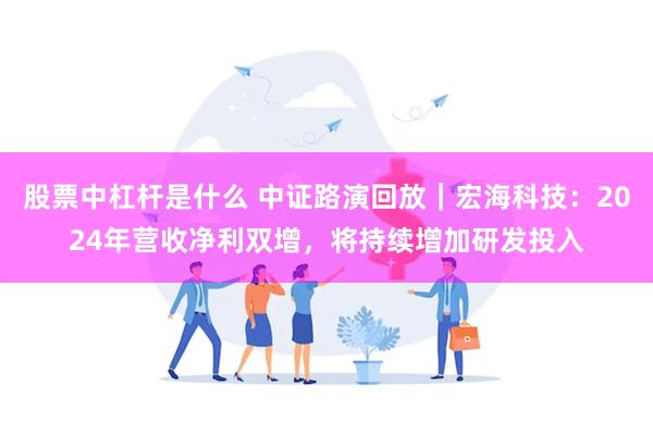 股票中杠杆是什么 中证路演回放｜宏海科技：2024年营收净利双增，将持续增加研发投入