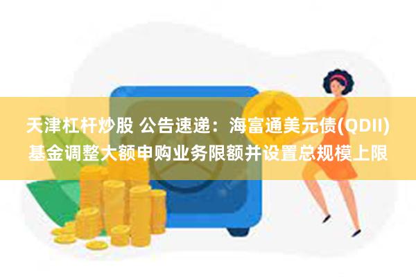天津杠杆炒股 公告速递：海富通美元债(QDII)基金调整大额申购业务限额并设置总规模上限