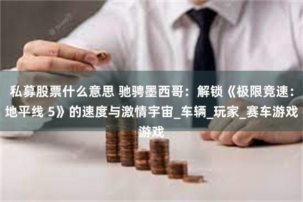 私募股票什么意思 驰骋墨西哥：解锁《极限竞速：地平线 5》的速度与激情宇宙_车辆_玩家_赛车游戏