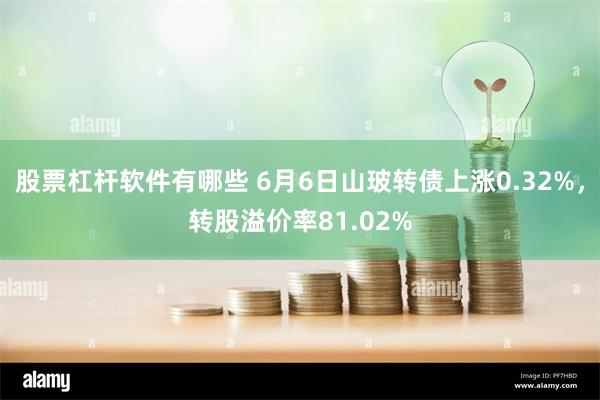 股票杠杆软件有哪些 6月6日山玻转债上涨0.32%，转股溢价率81.02%